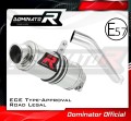 Auspuff Schalldämpfer DOMINATOR homologiert GP1 passend für Kawasaki ZX6R 636 2003  2004