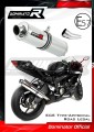 Auspuff Schalldämpfer DOMINATOR homologiert rund passend für Kawasaki ZX6R 636 2009  2020