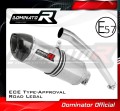 Auspuff Schalldämpfer DOMINATOR homologiert HP1 passend für Yamaha YZF R6 1999  2002