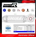 exhaust muffler DOMINATOR HP1 fits to Ducati MONSTER 600 1993  2002 2