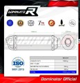Auspuff Schalldämpfer DOMINATOR HP1 passend für Triumph TT 600  2