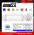 MONSTER 695 EXHAUST Ducati Muffler Auspuff Sportauspuff Silencer Echappement Silencieux Scarico Scarichi Escape Wydech Tłumik OVAL 2006 - 2008 Dominator 1