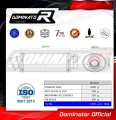 Auspuff Schalldämpfer DOMINATOR OV passend für Kawasaki ER  6 N / F 650 2006  2008 5
