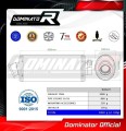 exhaust muffler DOMINATOR OV fits to BMW G310GS 2016  2024 4