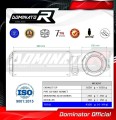 Honda CB 900F HORNET 2002 - 2007 EXHAUST Muffler Auspuff Sportauspuff Silencer Echappement Silencieux Scarico Scarichi Marmitta Escape Wydech Tłumik GP Dominator Exhaust System 4