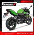 komplette Auspuffanlage mit Schalldämpfer DOMINATOR Full System HP8 schwarz passend für Kawasaki NINJA 400 2018  2022 3