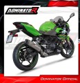 komplette Auspuffanlage mit Schalldämpfer DOMINATOR Full System HP8 passend für Kawasaki NINJA 400 2018  2022 3