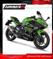 komplette Auspuffanlage mit Schalldämpfer DOMINATOR Full System HP8 passend für Kawasaki NINJA 400 2018  2022 5