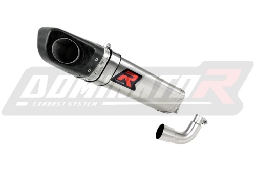 Auspuff Schalldämpfer DOMINATOR HP4 passend für Aprilia RS4 125 2012  2017 3