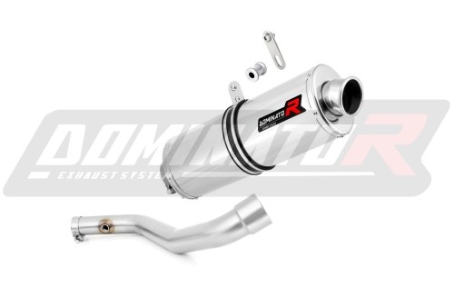 Auspuff Schalldämpfer DOMINATOR OV passend für BMW R850R  2003  3