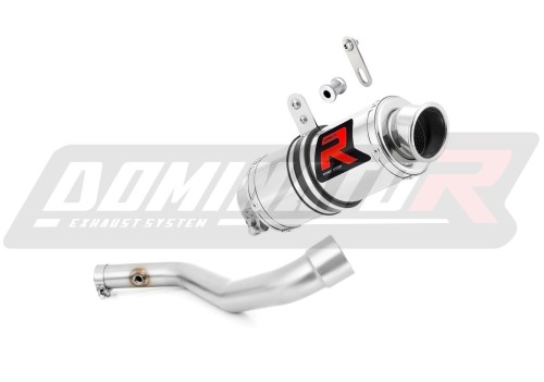 exhaust muffler DOMINATOR GP1 fits to BMW R850R  2003  3