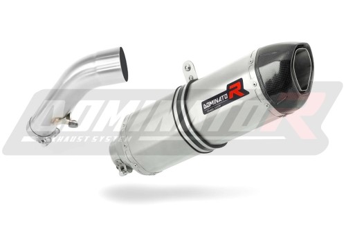 Auspuff Schalldämpfer DOMINATOR HP1 passend für BMW R1200R 2006  2009 3
