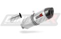 Auspuff Schalldämpfer DOMINATOR HP1 passend für BMW F800S 2006  2012 3