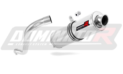 Auspuff Schalldämpfer DOMINATOR rund passend für BMW F650 FUNDURO  3
