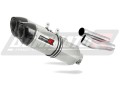 Auspuff Schalldämpfer DOMINATOR HP1 passend für Ducati MONSTER 620 2002  2006 3