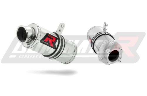 Auspuff Schalldämpfer DOMINATOR GP1 passend für Honda CBF 250 2004  2006 3