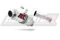 Auspuff Schalldämpfer DOMINATOR GP1 passend für Honda CBF 1000 2010  2013 3