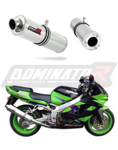 Auspuff Schalldämpfer DOMINATOR rund passend für Kawasaki ZX9R 1998  2002 3