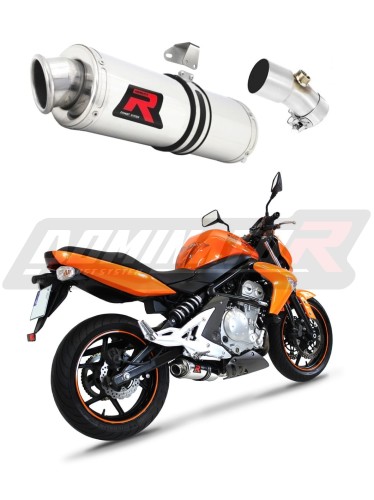 Auspuff Schalldämpfer DOMINATOR OV passend für Kawasaki ER  6 N / F 650 2006  2008 6