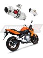 Auspuff Schalldämpfer DOMINATOR GP1 passend für Kawasaki ER  6 N / F 650 2006  2008 6