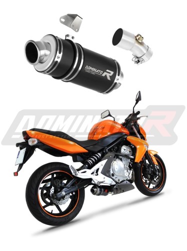 Auspuff Schalldämpfer DOMINATOR GP1 schwarz passend für Kawasaki ER  6 N / F 650 2006  2008 6