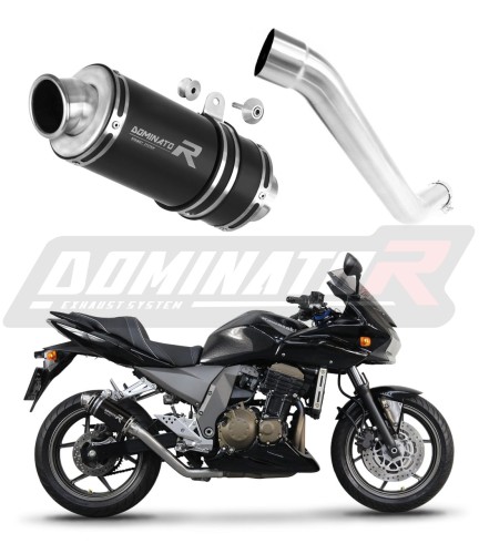 Auspuff Schalldämpfer DOMINATOR GP1 schwarz passend für Kawasaki Z750 2004  2006 6