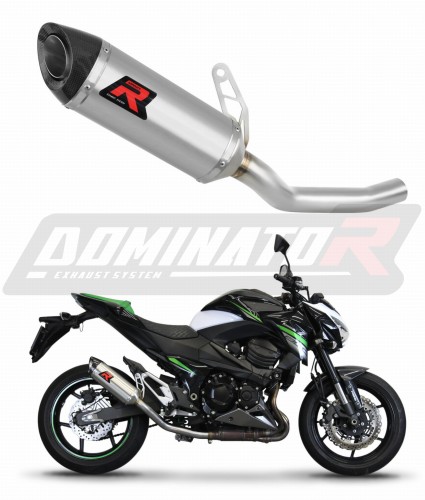 Auspuff Schalldämpfer DOMINATOR HP8 passend für Kawasaki Z800 2013  2016 7