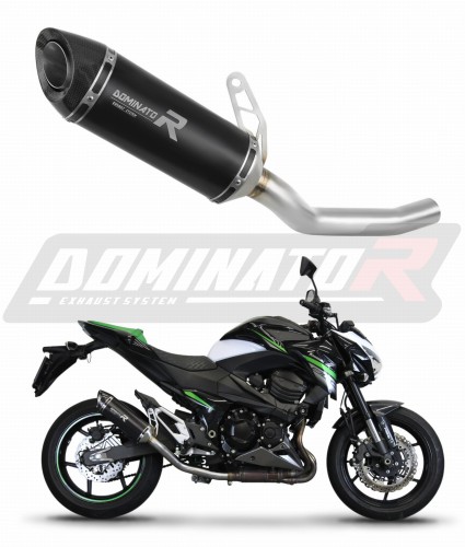 Auspuff Schalldämpfer DOMINATOR HP8 schwarz passend für Kawasaki Z800 2013  2016 7