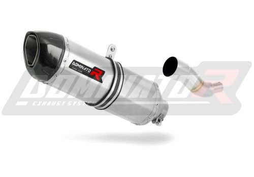 Auspuff Schalldämpfer DOMINATOR HP1 passend für Piaggio X9 125 2000  2009 3