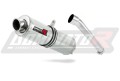 Auspuff Schalldämpfer DOMINATOR rund passend für Yamaha FZR 1000 1991  1994 3