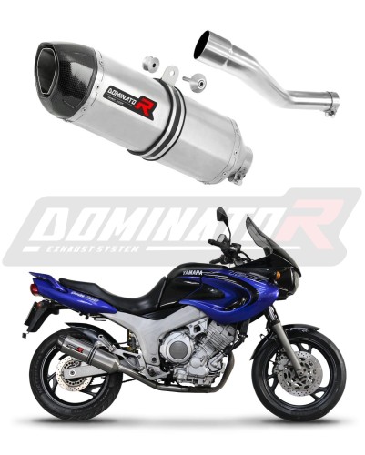 Auspuff Schalldämpfer DOMINATOR HP1 passend für Yamaha TDM 850 Right Side 1996  2001 6