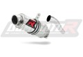 exhaust muffler DOMINATOR GP1 fits to Yamaha TZR 50  3