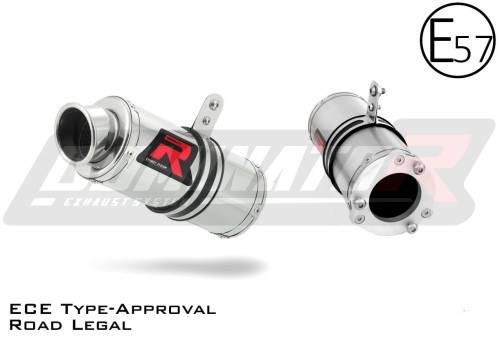 Auspuff Schalldämpfer DOMINATOR homologiert GP1 passend für Kawasaki ZX9R 1998  2002 3