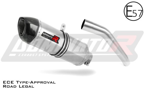 Auspuff Schalldämpfer DOMINATOR homologiert HP1 passend für Kawasaki Z750 2007  2012 3