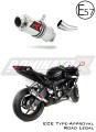 Auspuff Schalldämpfer DOMINATOR homologiert GP1 passend für Kawasaki ZX6R 636 2009  2020 5