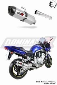 Yamaha FZS FAZER 1000 2001 - 2005 EU Homologiert genehmigt Schalldämpfer Auspuff HP1