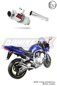 Yamaha FZS FAZER 1000 2001 - 2005 EU Homologiert genehmigt Schalldämpfer Auspuff GP1