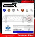 Auspuff Schalldämpfer DOMINATOR OV passend für BMW F650GS 2000  2003 2