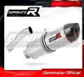 Auspuff Schalldämpfer DOMINATOR HP1 passend für BMW F650GS 2000  2003