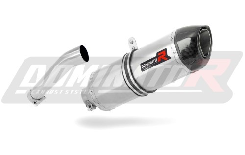 Auspuff Schalldämpfer DOMINATOR HP1 passend für BMW F650GS 2000  2003 3