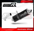 Auspuff Schalldämpfer DOMINATOR homologiert P7 schwarz passend für BMW R1200GS 2004  2009 3