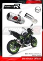 Auspuff Schalldämpfer DOMINATOR homologiert GP passend für Kawasaki Z 900 A2 2020  2024 2