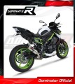 Auspuff Schalldämpfer DOMINATOR GP passend für Kawasaki Z 900 A2 2020  2024 3