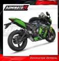 Auspuff Schalldämpfer DOMINATOR Titan HP8 passend für Kawasaki ZX10R 2016  2020 4