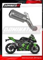 Auspuff Schalldämpfer DOMINATOR GPS passend für Kawasaki ZX10R 2016  2020 2