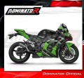 Auspuff Schalldämpfer DOMINATOR GPS passend für Kawasaki ZX10R 2016  2020 5