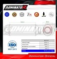 komplette Auspuffanlage mit Schalldämpfer DOMINATOR Full System MX2 passend für Suzuki VStrom 800 SE / DE 2023  2024 4