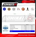 Auspuff Schalldämpfer DOMINATOR OVR passend für Aprilia RSV 1000 R 2004  2009 3