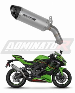 Kawasaki ZX-4R / RR 2023 - 2024 Schalldämpfer Auspuff Titan HP8 + dB killer