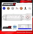Auspuff Schalldämpfer DOMINATOR HP1 schwarz passend für BMW R1100R  3